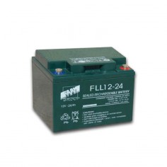 Batteria AGM piombo 24Ah...