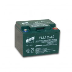 Batteria AGM piombo 42Ah...